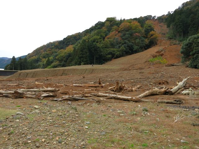 土石流跡