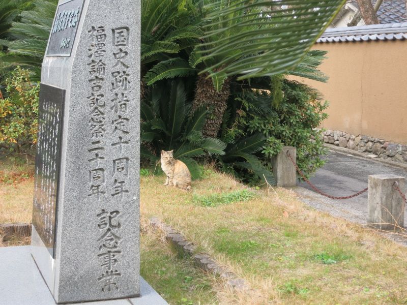 諭吉ねこ